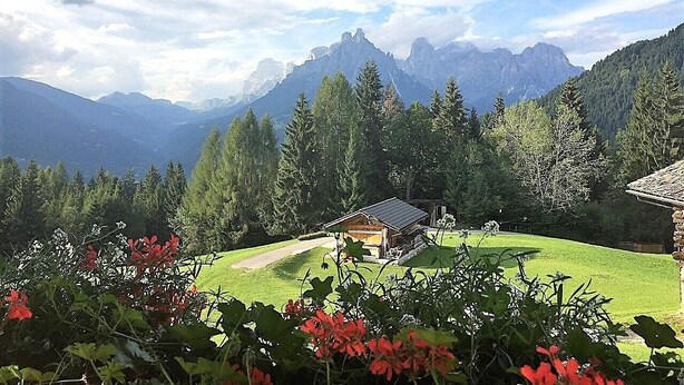 A mountain cabin with a wooden exterior, surrounded by lush greenery and a clear sky.