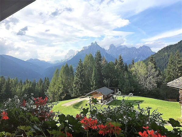 Vista desde la propiedad