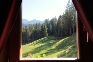 A window view of a grassy hillside with a forest and mountains in the background. - Baita Mountain View Pale San Martino (Primiero San Martino di Castrozza)