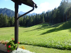 A grassy field with a wooden structure, possibly a gazebo, and a mountain range in the background. - Baita Mountain View Pale San Martino (Primiero San Martino di Castrozza)