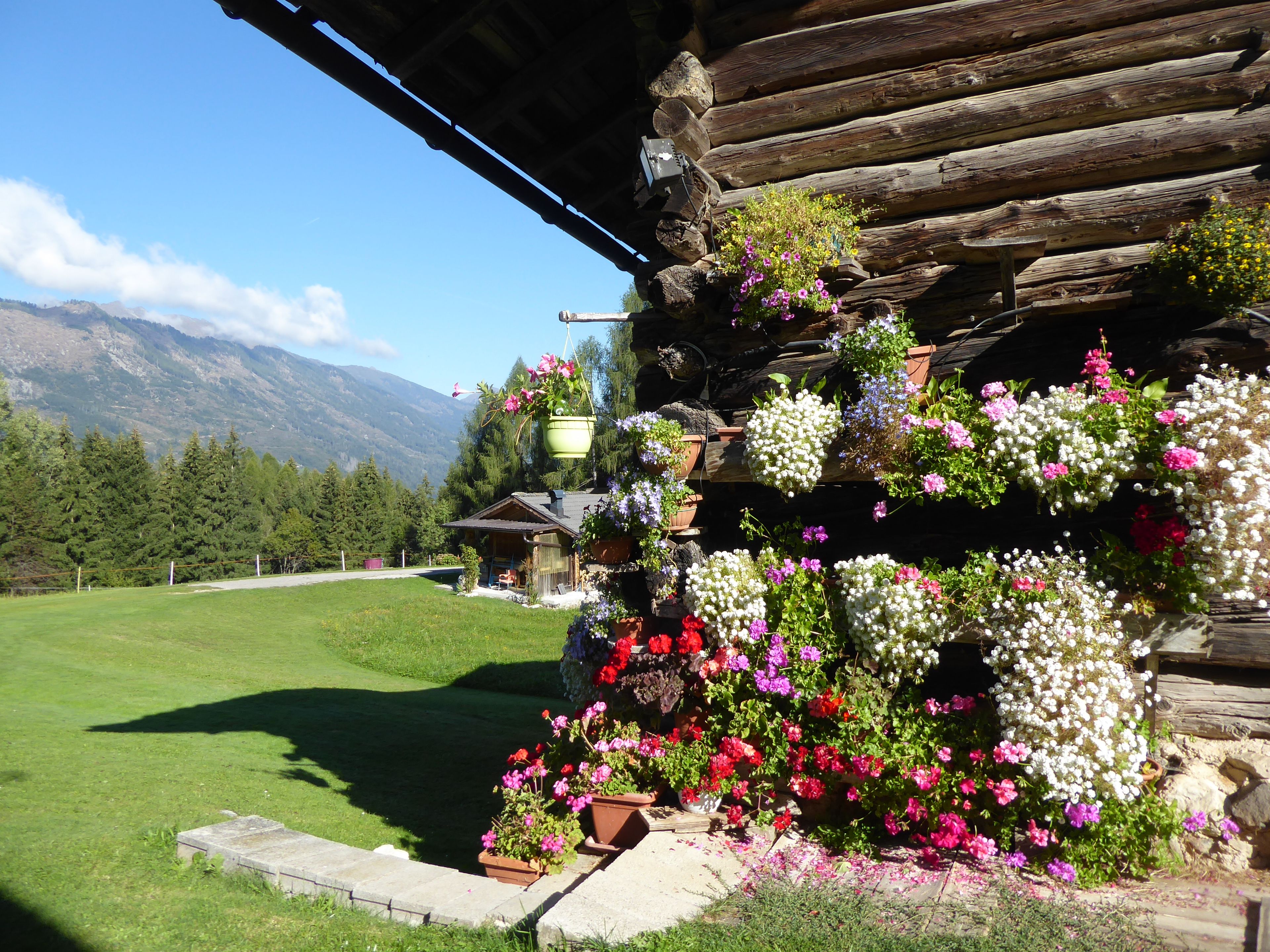 A rustic cabin with a wooden exterior, surrounded by a lush garden with various flowers and a view of mountains in the background.