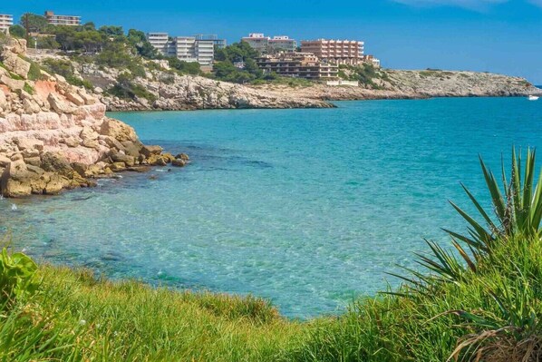 A coastal view with clear water, rocky shoreline, and buildings on a hill.