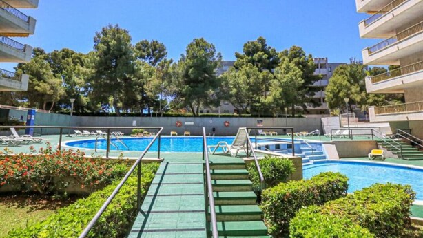 Une piscine avec des marches permettant d’y accéder, entourée de verdure et d’arbres.