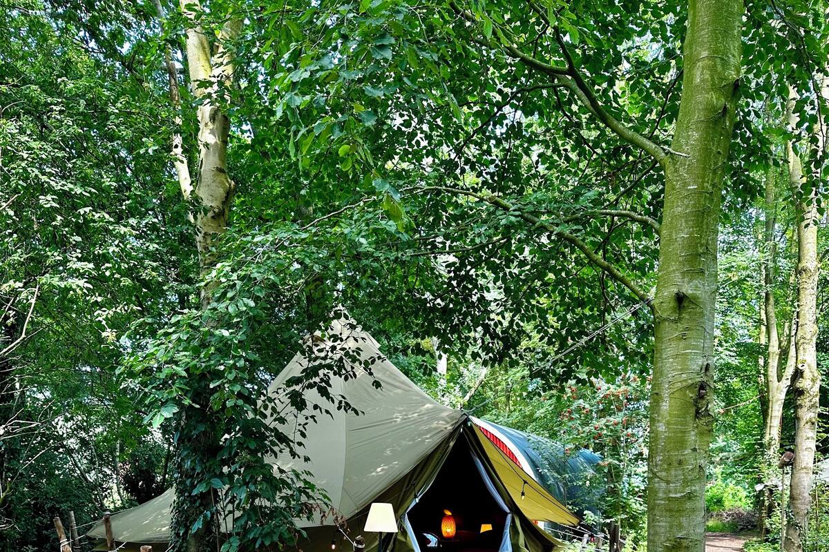 A tent set up in a forested area with a wooden table and chairs in front.