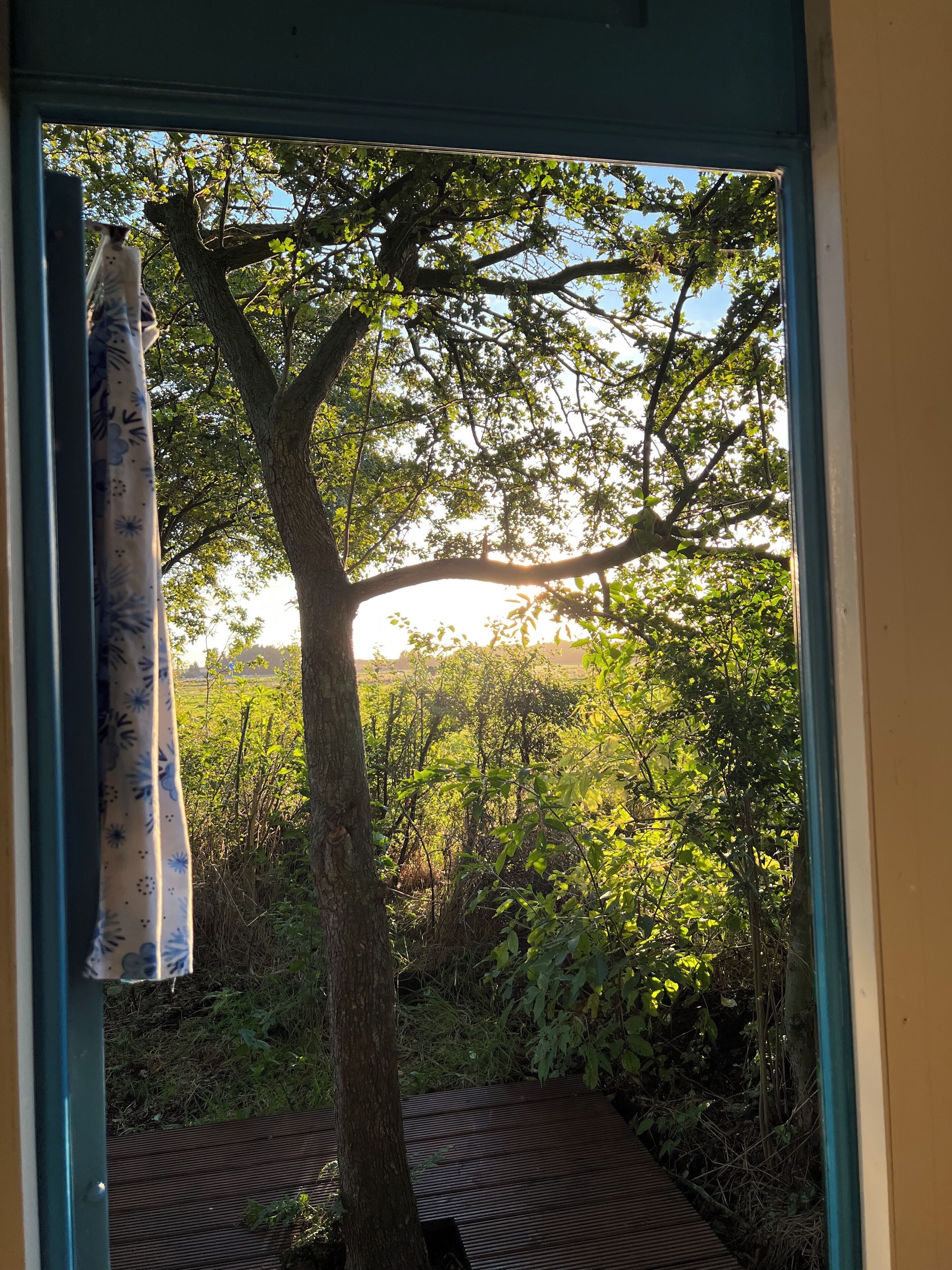 Vista a través de una ventana con cortina, un árbol y una terraza de madera.