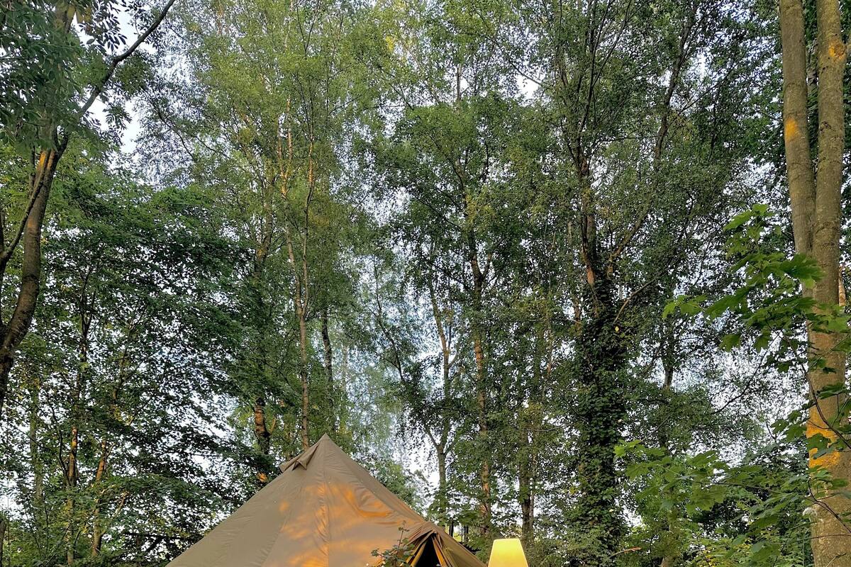 A tent in a forest with a lamp and chairs.