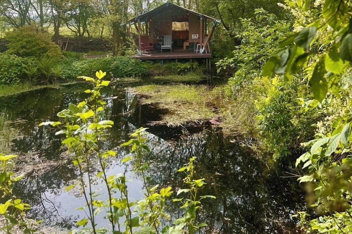 A wooden cabin with a deck, surrounded by dense greenery and a small pond.