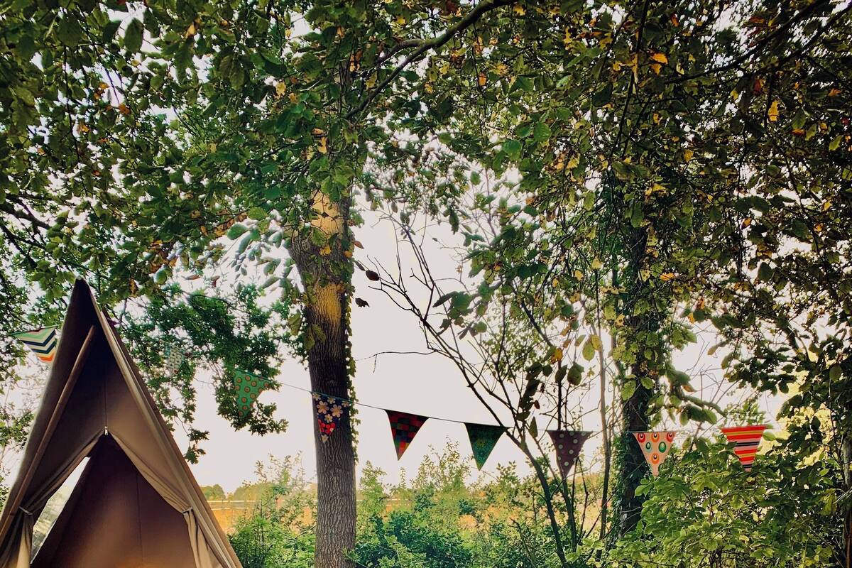A tent set up with a table and chairs in a wooded area.