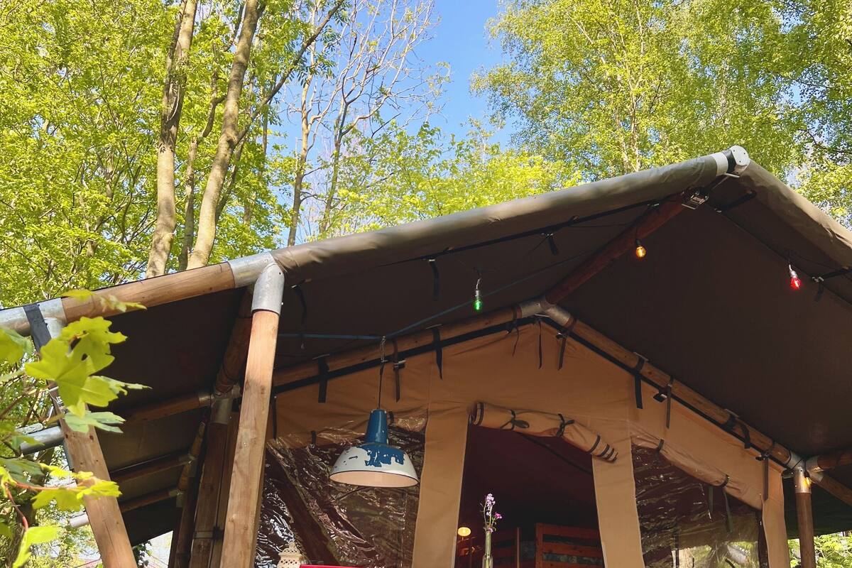 A covered outdoor seating area with a table and chairs, surrounded by trees.
