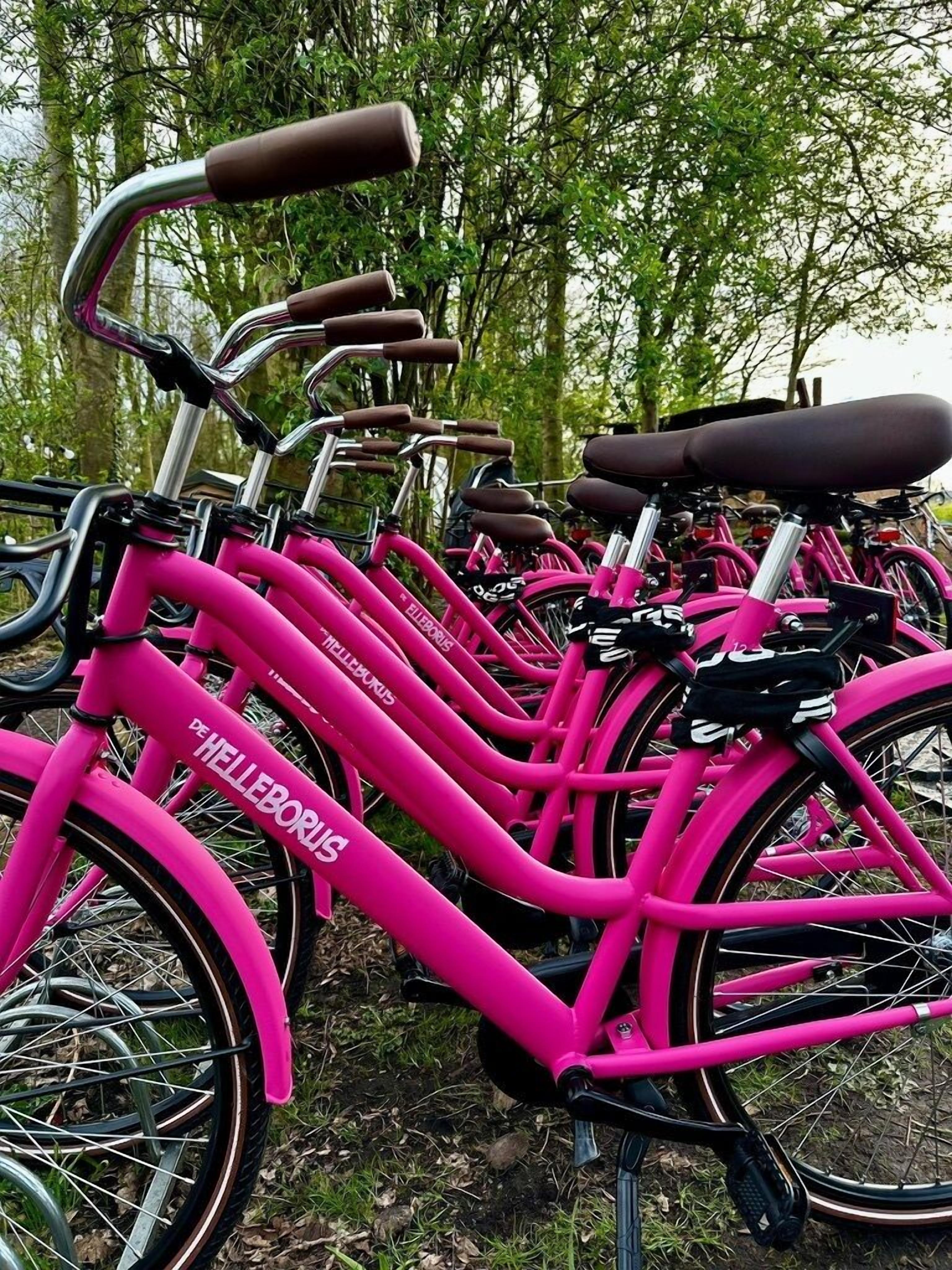 Fila de bicicletes roses amb la marca "DE HELLEBORIS", aparcades a l'aire lliure, amb arbres al fons.