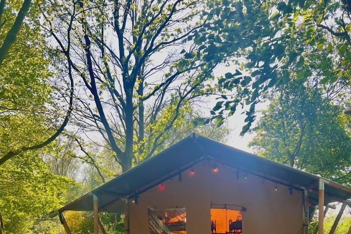 Superior Tent, Garden Area | 1 bedroom, free WiFi