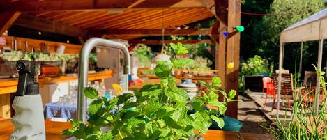 A wooden deck with a potted mint plant, a metal faucet, and a bottle of green soap.