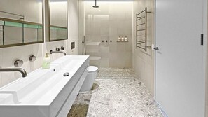 Shower, hair dryer, towels