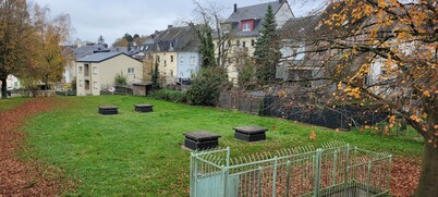 Îlot de Quiétude (50m2)