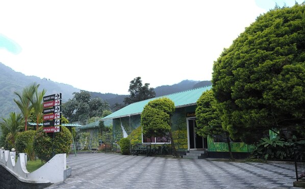 外觀