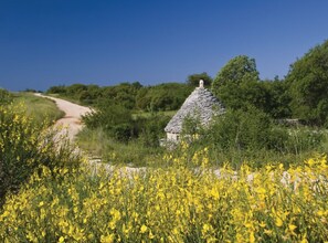 Ein Steinhaus mit einem Strohdach, umgeben von gelb blühenden Pflanzen und Grün, mit einem Feldweg, der darauf zuführt.