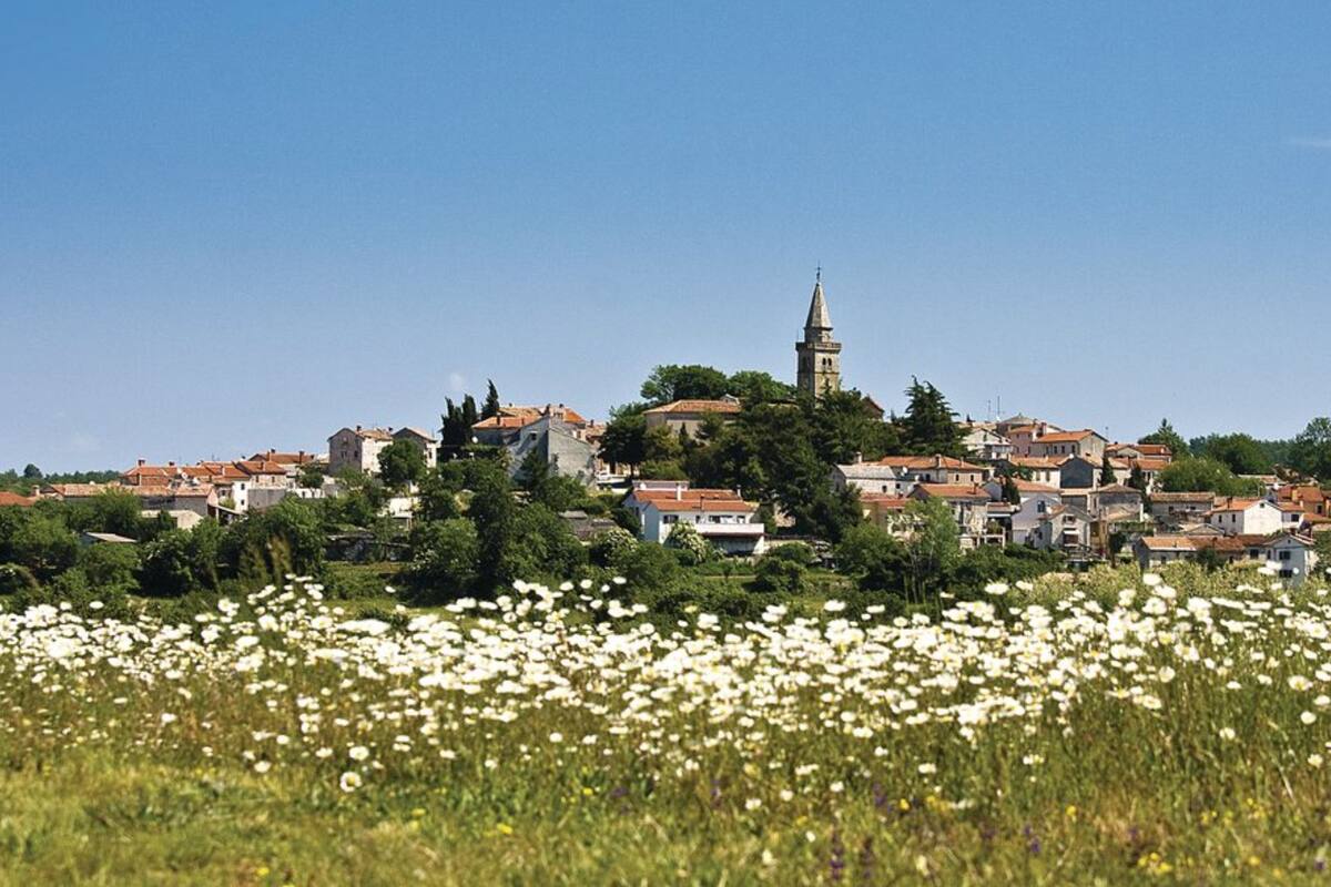 Une ville qui se distingue par son imposante tour, entourée de bâtiments et d’un champ de fleurs blanches.