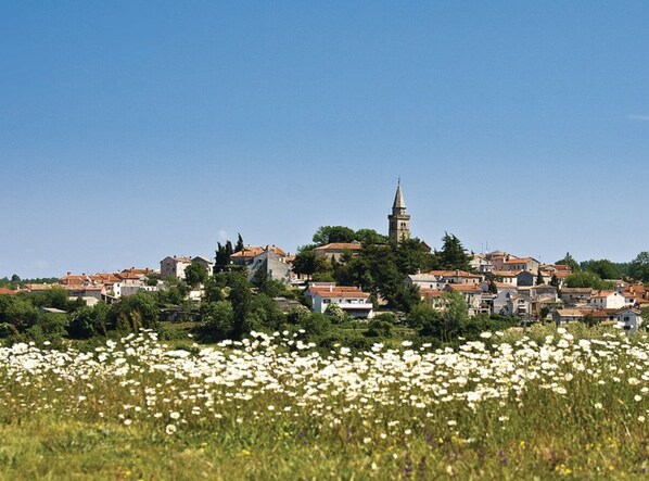 Villa (Four Bedroom Villa with Private Pool) | Exterior - Villa Istra (Gracisce)