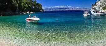 House of Green Experience