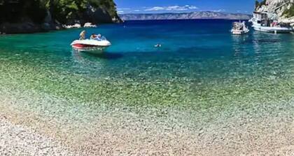 House of Green Experience