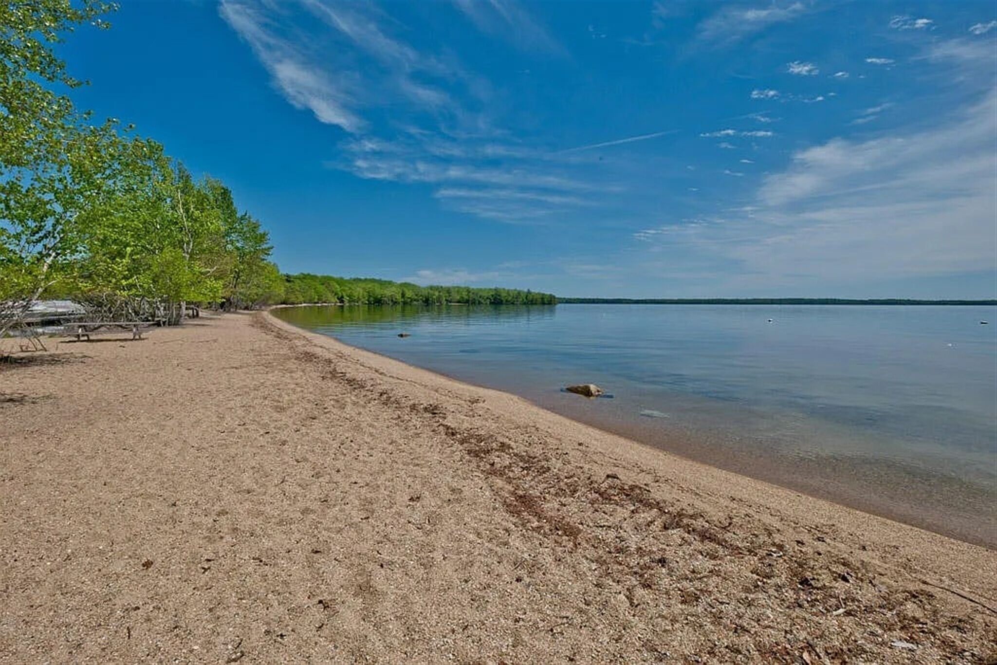 A sandy beach with trees and a calm lake.