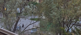 Aunt Peppa Castel di Sangro