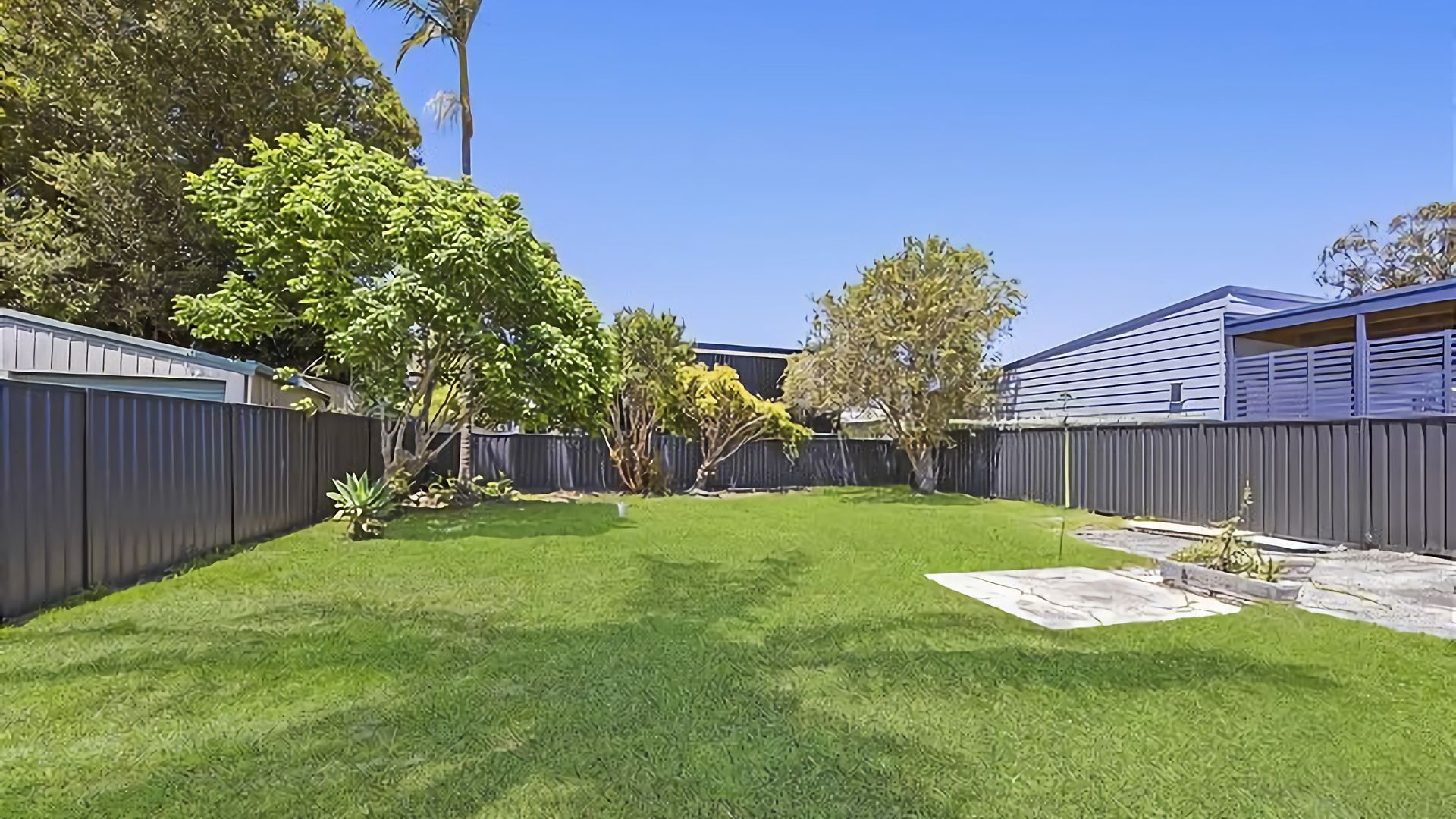 A backyard with a well-maintained lawn, a tree, and a wooden fence.