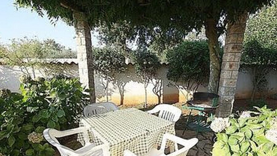 Graceful Apartment With Barbecue Area