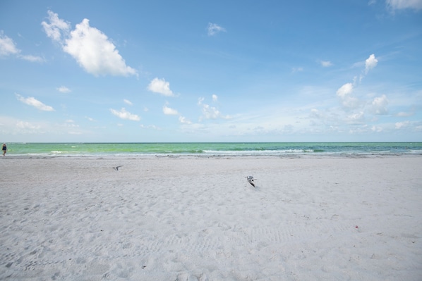 Una playa cerca