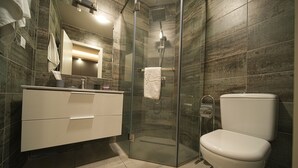 Ein modernes Badezimmer mit einer Duschkabine, einer weißen Toilette und einem Waschbecken mit Spiegel.