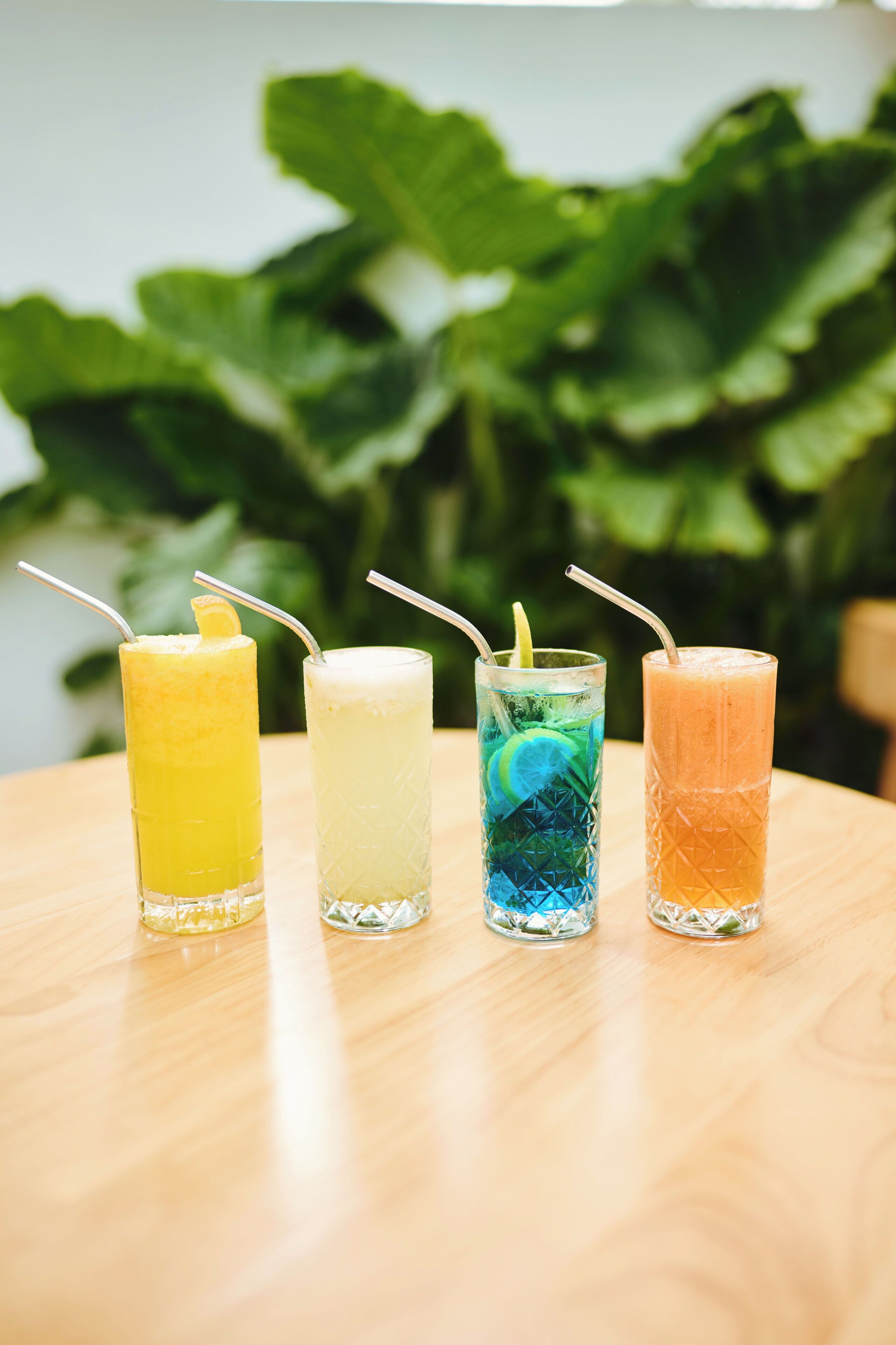 Four glasses of different colored beverages on a wooden table with a green plant in the background.