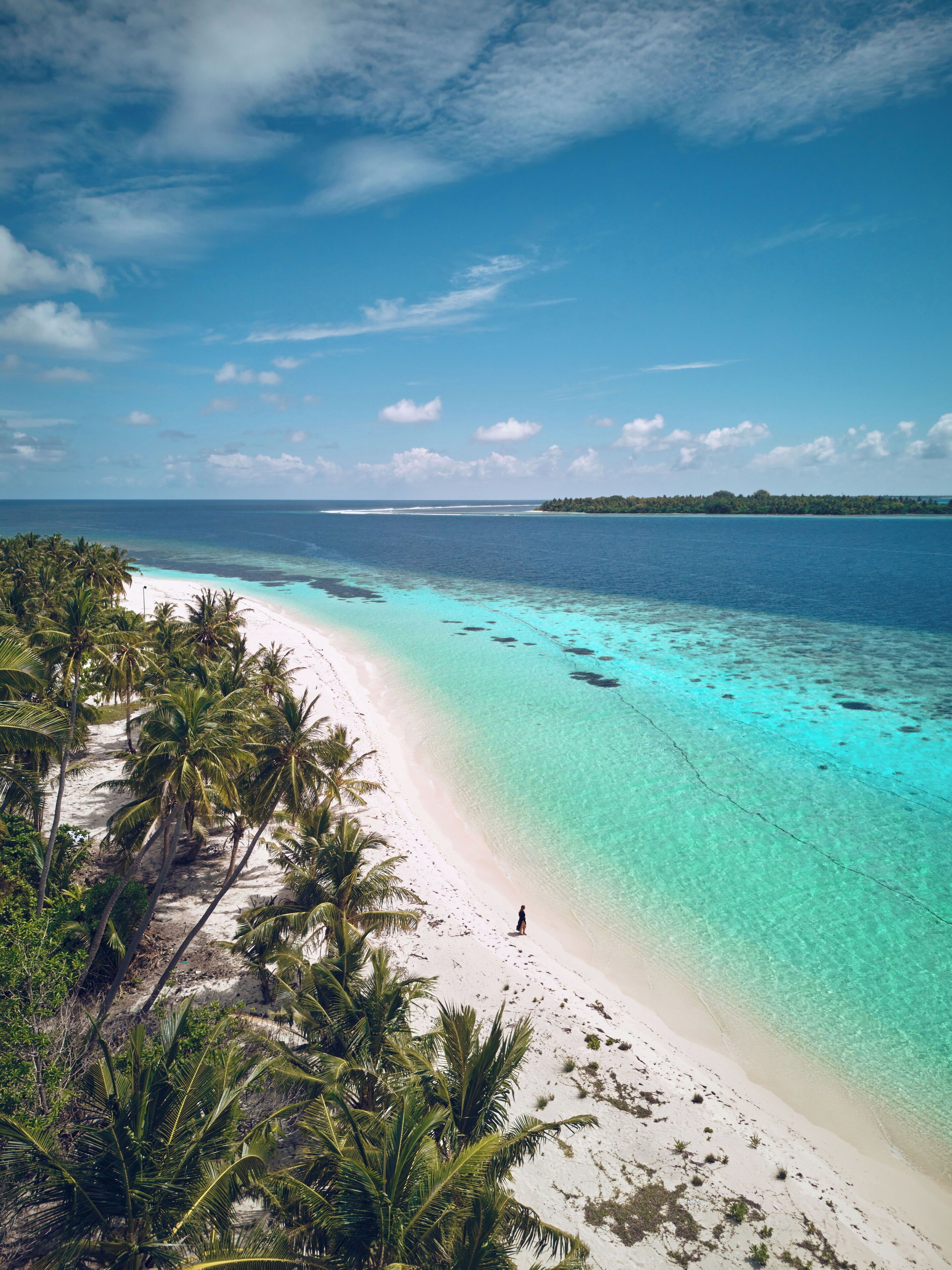 A beach with clear turquoise waters, white sand, and palm trees.