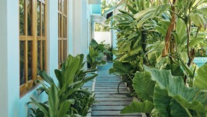 A narrow pathway flanked by lush tropical plants leading to a building with large windows. - Kondey Villas (Kondey)