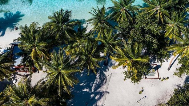An aerial view of a beach with clear turquoise water and palm trees. - Kondey Villas (Kondey)