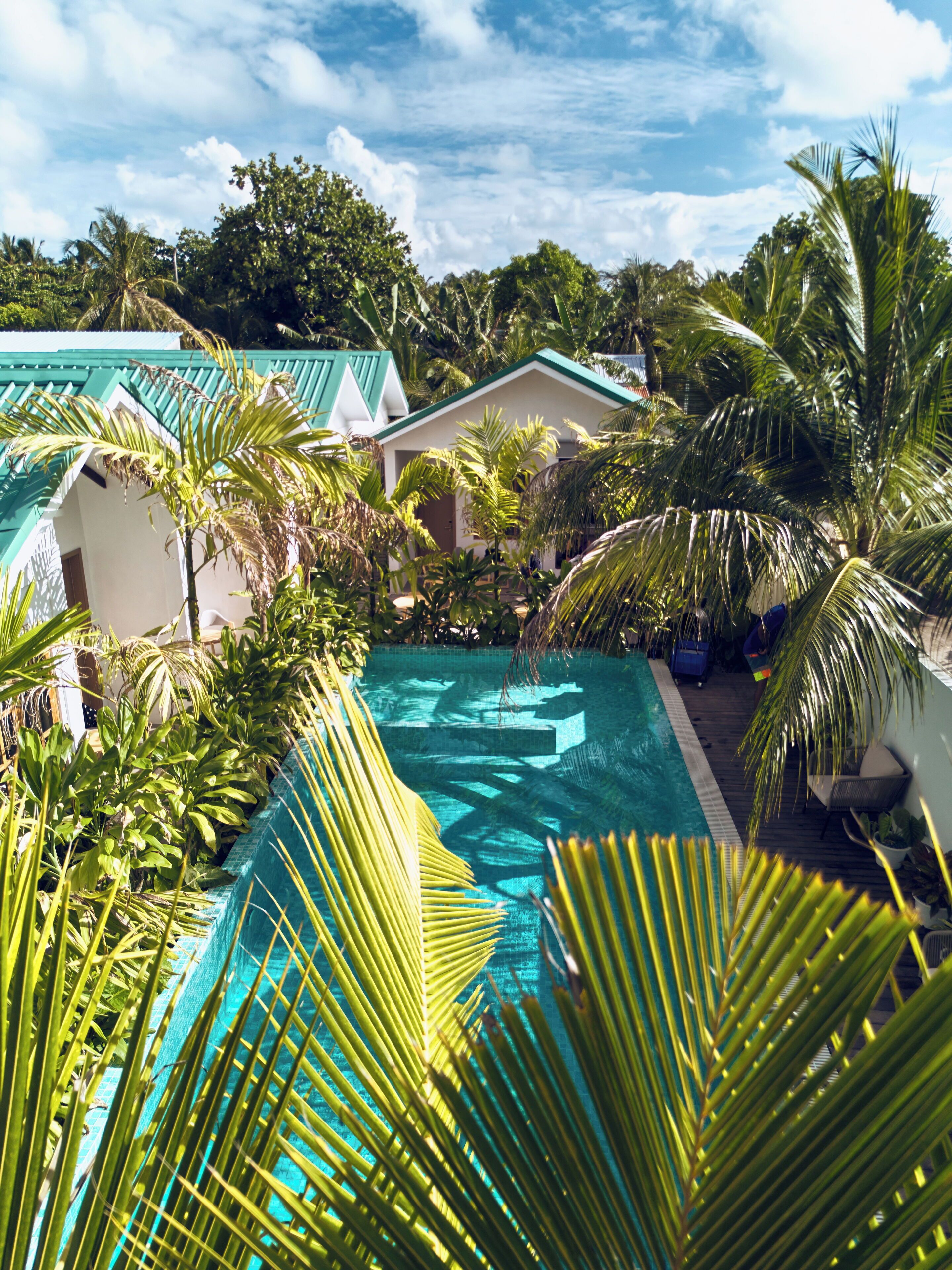 Une piscine entourée d’une végétation luxuriante et un bâtiment doté d’un toit végétalisé.