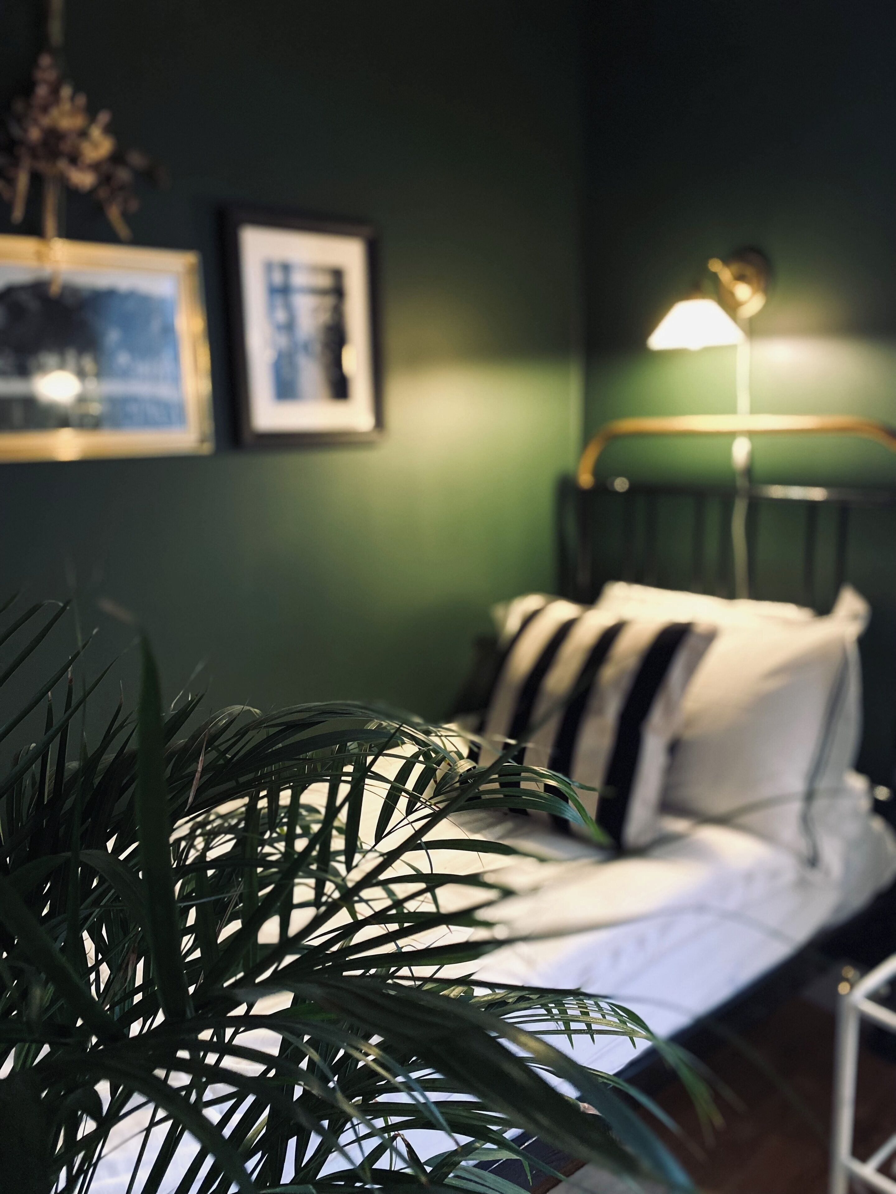 Quarto com cama, luminária de cabeceira, planta em vaso e quadros na parede.