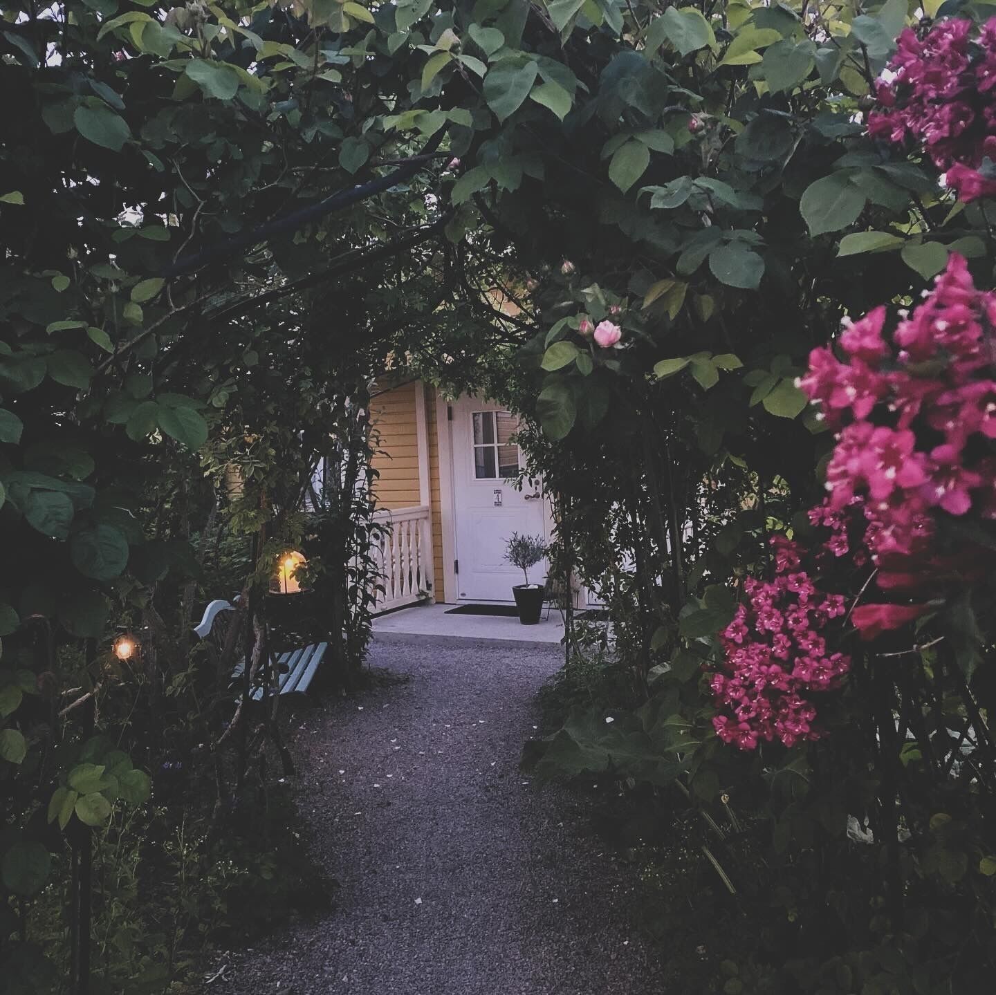 A pathway leading to a house with a white door, surrounded by lush greenery and pink flowers.