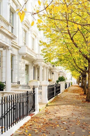 A row of white townhouses with a black iron fence and a tree-lined sidewalk.