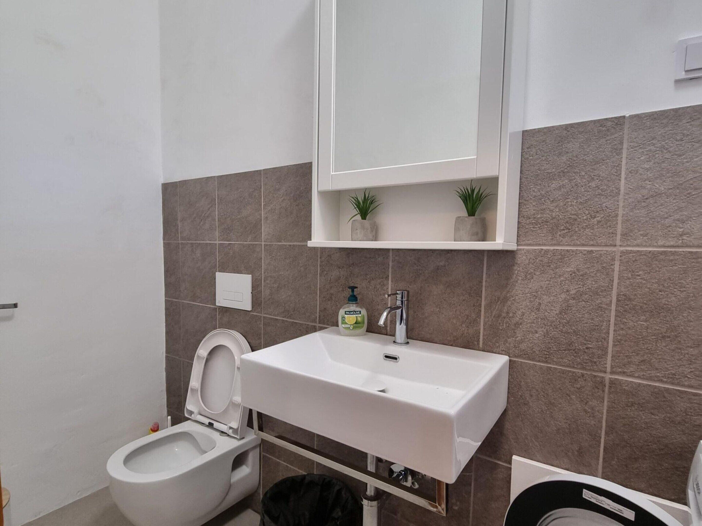 A bathroom with a white toilet, a white sink with a mirror above, and a shelf with two small potted plants.