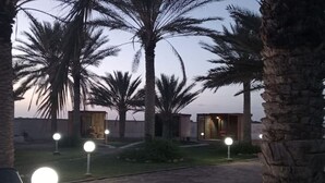 Un sendero bordeado de palmeras y pequeñas construcciones, posiblemente habitaciones de huéspedes, con luces circulares a lo largo del camino.