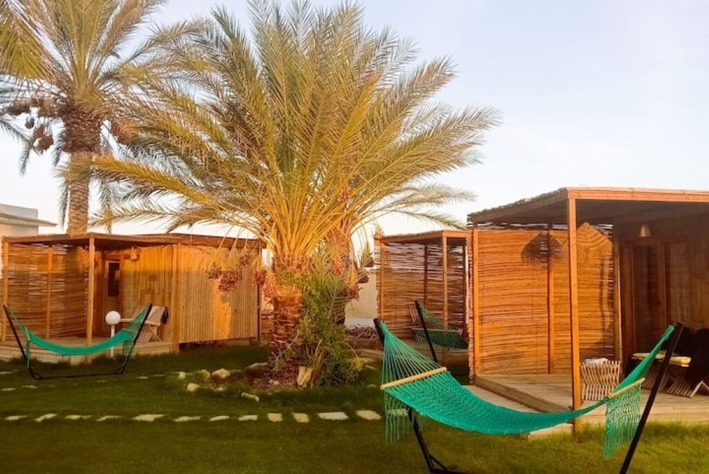 A wooden structure with a covered outdoor area, two hammocks, and a palm tree.