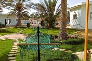 Property grounds - Bungalow Fezzani, in oasis plus pool  (Douz)
