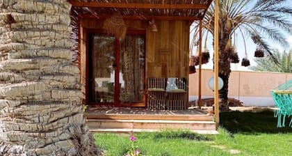 Bungalow Fezzani, in oasis plus pool