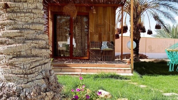 Une structure en bois avec une porte en verre, un petit porche doté d’un banc et un palmier.