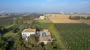 An aerial view of a vineyard with rows of grapevines, a large building with a bell tower, and a well-maintained lawn. - Villa Laguna 10, Emma VIllas (Faenza)