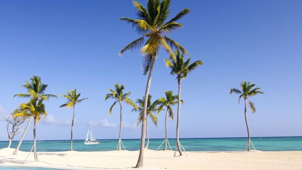A beach with white sand and palm trees. - Apt With 2BR and Beach Access in Punta Palmera (Punta Cana)