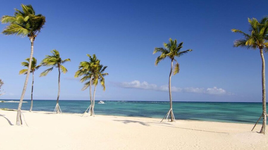 Ocean View apt With Terrace in Punta Palmera