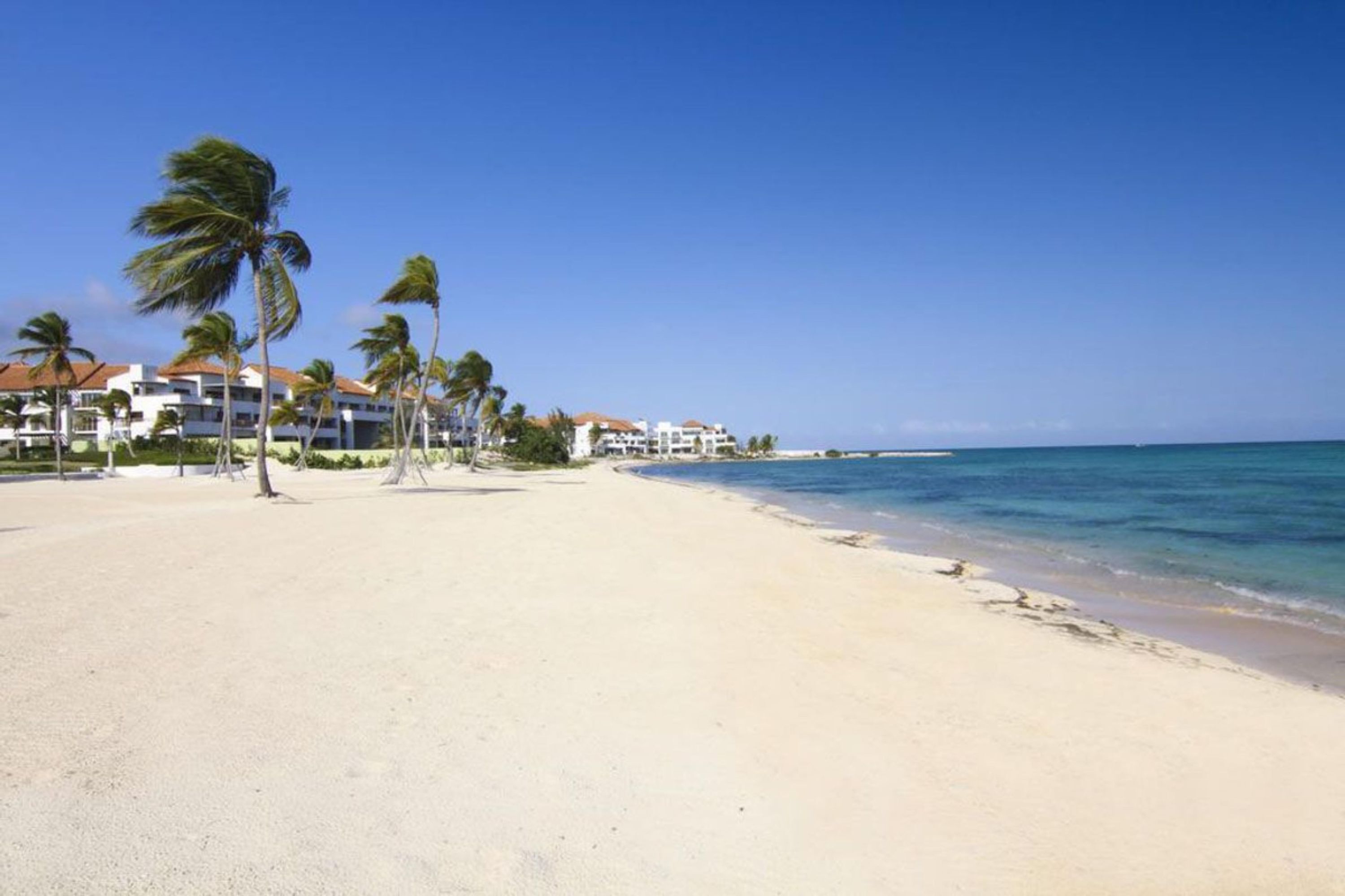A beach with palm trees and buildings in the background.