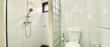 Une salle de bain avec douche, toilettes et une paroi de séparation en verre.