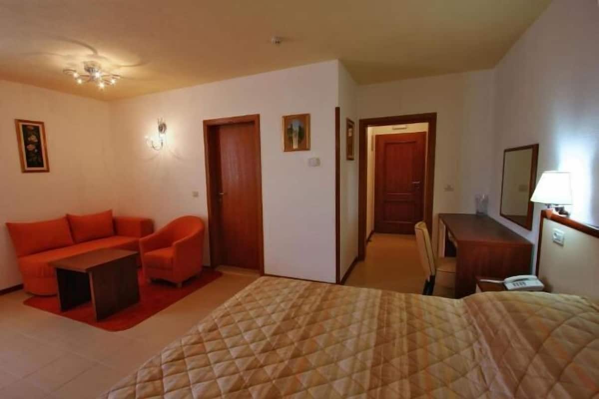 A hotel room with a bed, a sofa, a desk, and a chair.